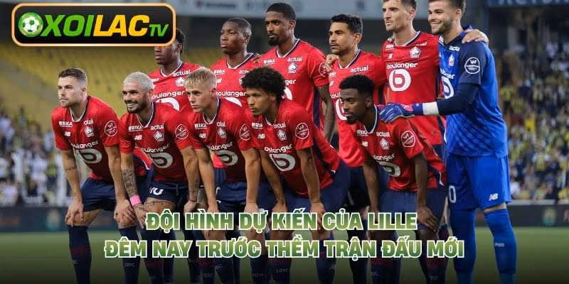 Đội Hình Dự Kiến Của Lille Đêm Nay Trước Thềm Trận Đấu Mới